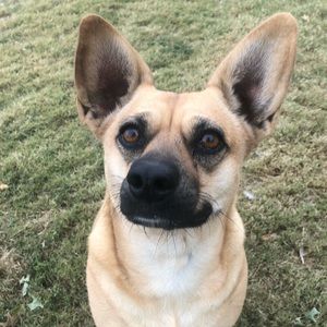 Meet your Posher, Sara